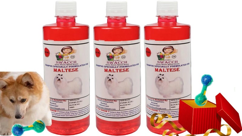swacch Maltese Dog Shampoo + Dumbbell Toy I Durable Rubber Dog Toy for Chewing I Playing,Teeth Cleaning & Training Toy I Combo Pack I 500ml Pack of 3 Jasmine - Image 1