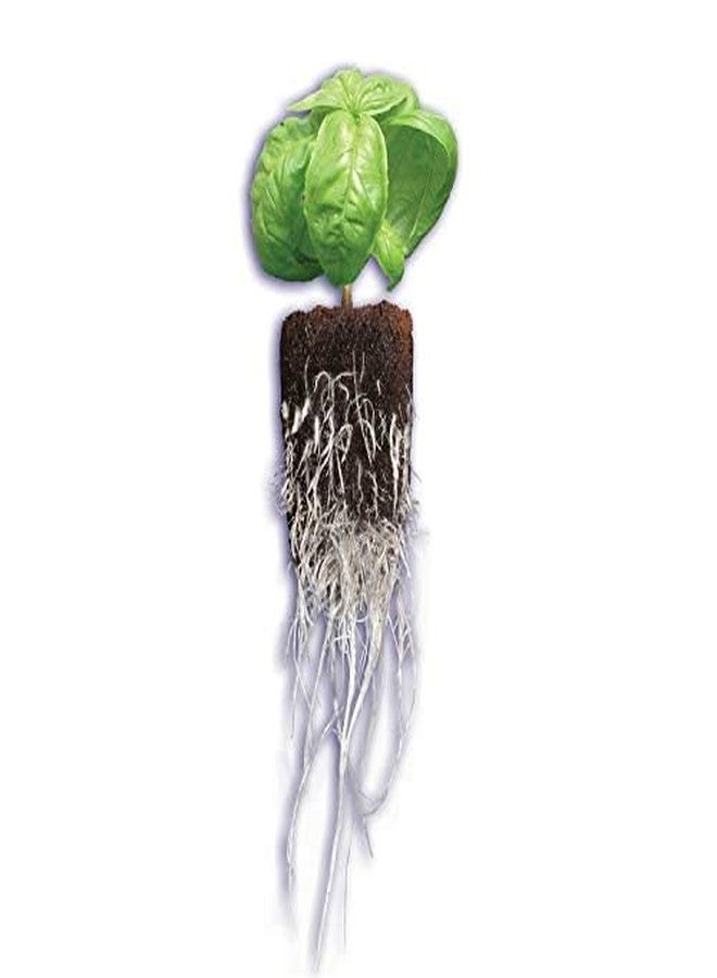 General Hydroponics Rapid Rooter, Starter Plug for Seeds or Cuttings, Great for Soil or Hydroponics Growing System, 100 Plugs - Image 4