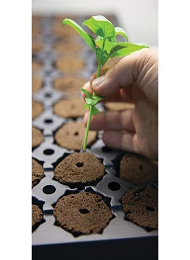 General Hydroponics Rapid Rooter, Starter Plug for Seeds or Cuttings, Great for Soil or Hydroponics Growing System, 100 Plugs - Image 3