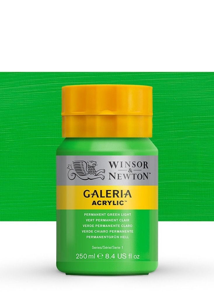 WINSOR & NEWTON Galleria acrylic paint permanent green light 250 ml 