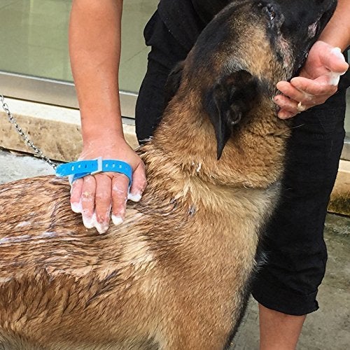 Maharsh Comfortable Pet Bathing Tool Massager Shower Cleaning Washing Sprayers Dog Brush - Image 4