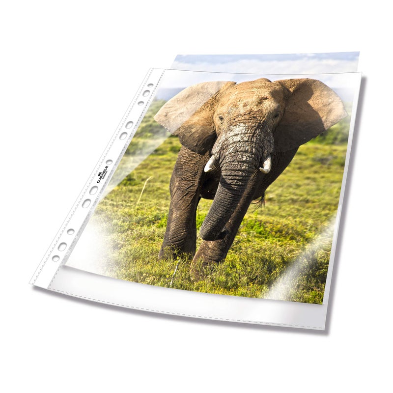 ديورابل ملف مخرم شفاف A4 – حافظ مستندات من بولي بروبيلين صافي، فتحه علوية، ثقوب معززة بمسافات قياسية، حافة مثقبة مقاومة للتمزق، عبوة 100 | موديل 267219 - Image 3