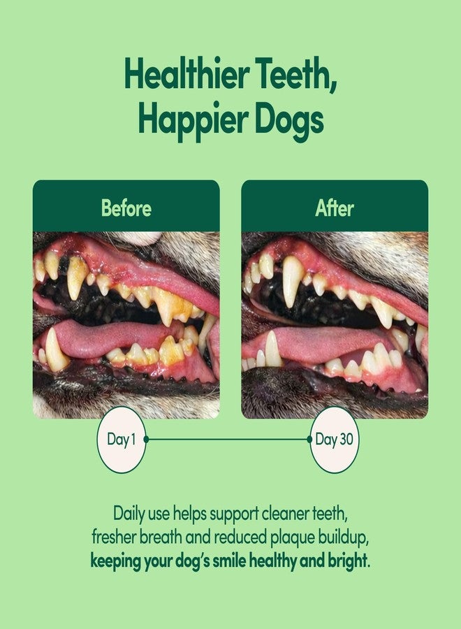 Fifth & Fido Breath Buddy Dog Dental Powder for Teeth Cleaning – Cat & Dog Breath Freshener, Helps Remove Plaque & Tartar, Gentle Formula for Sensitive Stomachs, Natural Ingredients, USA Made - Image 2