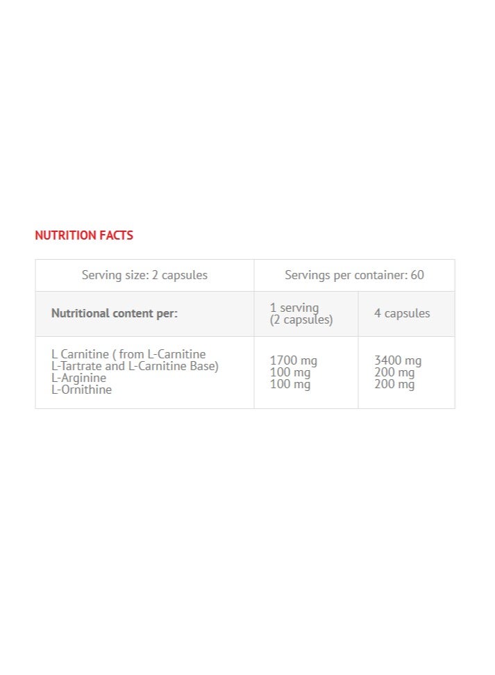 VIKING FORCE LABORATORIES Carnitine Plus- 120 Capsules, 60 Servings, 136.5 G, Weight Loss Capsules With Carnitine, Arginine, Ornithine - Image 2