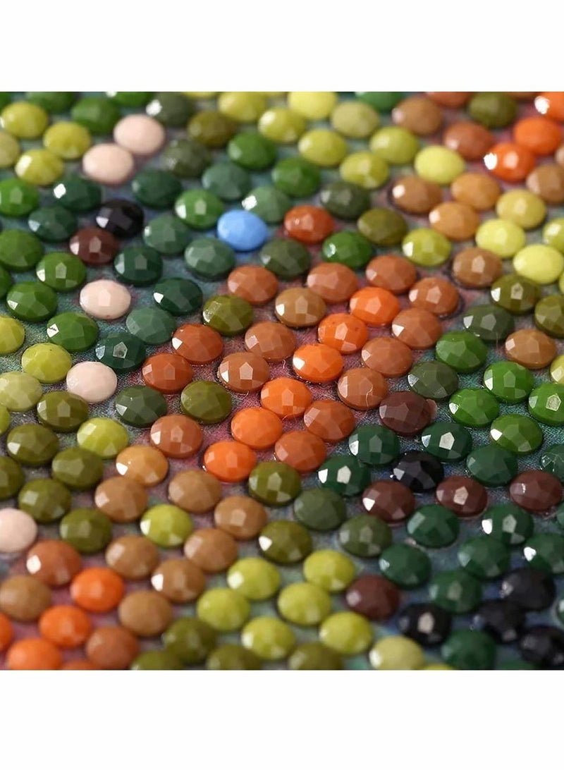 Excefore 5D Diamond Painting by Number Kits for Adults, Hot Air Balloon Scenery Paint with Diamonds Arts Full Drill Canvas for Home Wall Decor (30 x 40cm) - Image 4