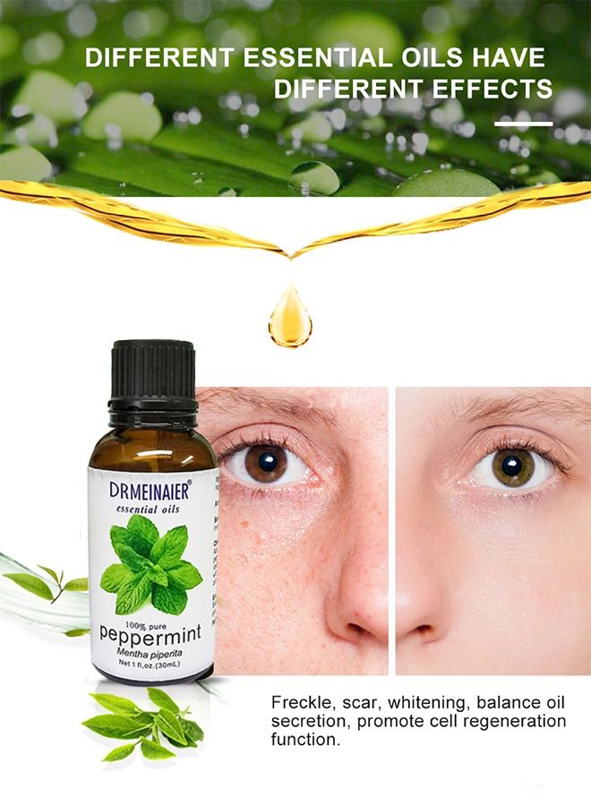 Pure Rosemary Essential Oil Clear 30ml - Image 2