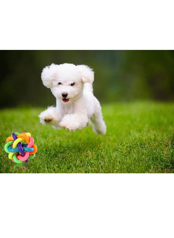 قطعتان كرة جرس ملونة للببغاء ولعبة للطيور كرة جرس لعبة كرة مطاطية للطائر لطحن الأسنان ومضغ منقار طائر المينا و الببغاء (صغير) - Image 4