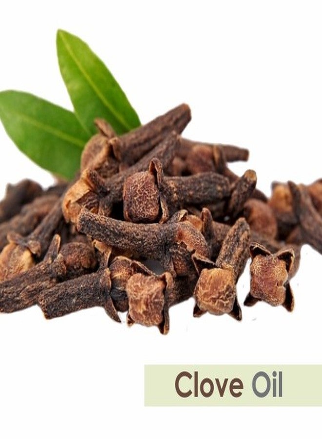 سالفيا زيت القرنفل مع قطارة، زيت عطري طبيعي 100% نقي غير مخفف وغير مخفف، 500 مل - Image 2