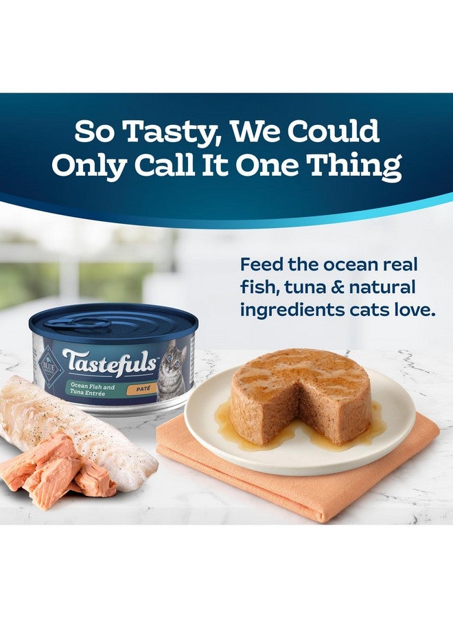 بلو بافلو طعام القطط الرطب من بلو بافالو تاستفولز، مصنوع من مكونات طبيعية، سمك المحيط وطبق التونة، علب 5.5 أونصة (24 علبة) - Image 3