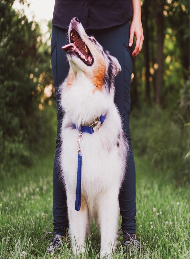 Blue-9 Dog Training Leash, 9 Inch Tab Lead for Obedience, Recall, and Agility Training, Made in The USA, Sky Blue - Image 5