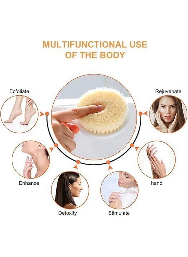 JAMBUVANTI Multipurpose Bath Body Brush Bath Body Brush with Soft Comfortable Bristles Long Handle, Dry Brushing Back Scrubber for Shower for Men and Women, BPA free, Non-Slip 1 PCS - Image 4