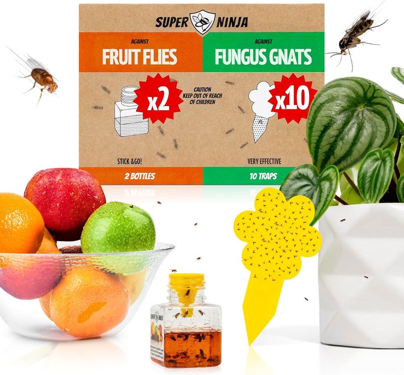 Super Ninja Fungus Gnat Fruit Fly Traps 10 Gnat Sticky Traps for Plants 2 Highly Effective Fruit Fly Catchers for Indoors Kid Pet Friendly Ready to Use Up to 3 Months of Performance - Image 2