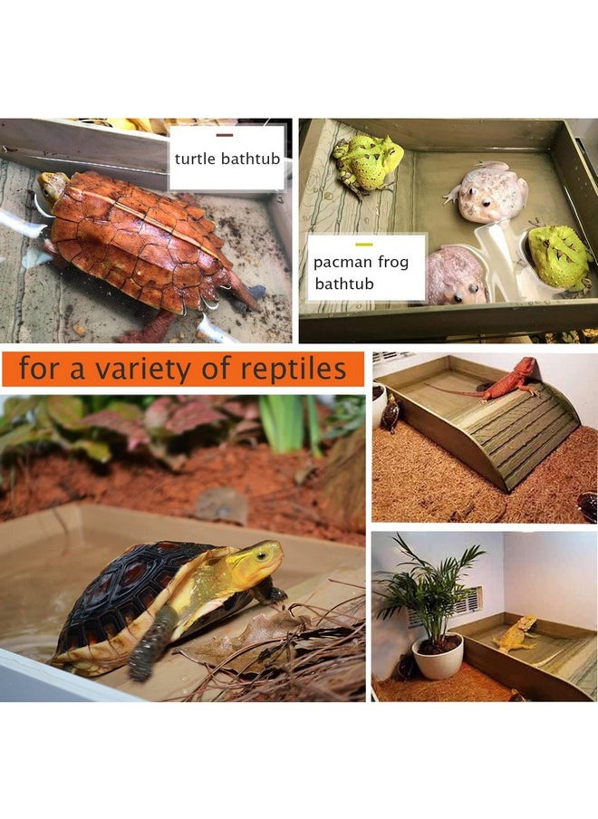 3Pcs Tortoise Food Dish With Ramp And Basking Platform Leaf Tortoise Water Food Bowls Reptile Water Dish Turtle Reptile Pool For Amphibians Brown - pzsku/Z304A7775E388C53E9672Z/45/_/1726221234/d698a10b-714e-4d7c-be73-65b0fd0d376c