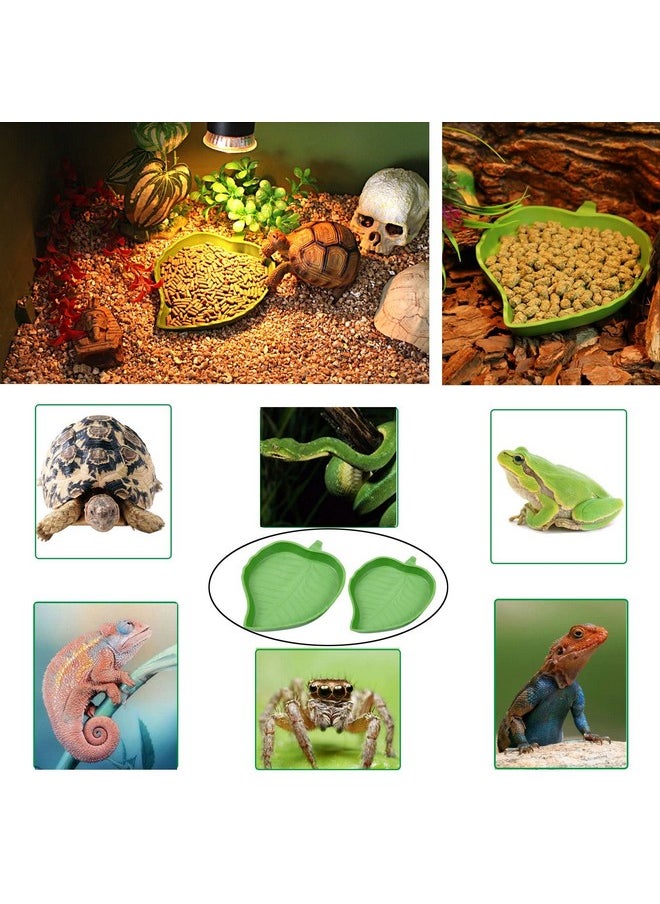 3Pcs Tortoise Food Dish With Ramp And Basking Platform Leaf Tortoise Water Food Bowls Reptile Water Dish Turtle Reptile Pool For Amphibians Brown - pzsku/Z304A7775E388C53E9672Z/45/_/1726221238/e354d667-4b01-4dca-abff-a9242b9dab04