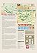GMT Games Battles of The American Revolution TriPack II Board Game for Adults Ages 18 - Image 4