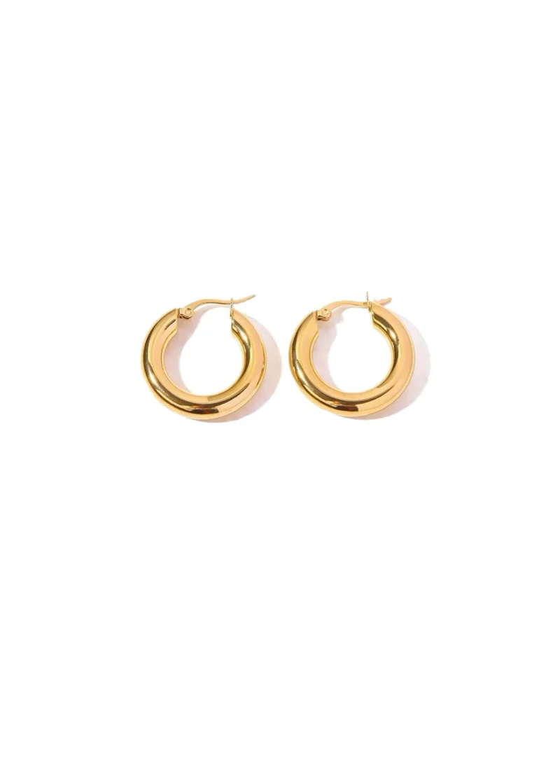 Earrings silver round