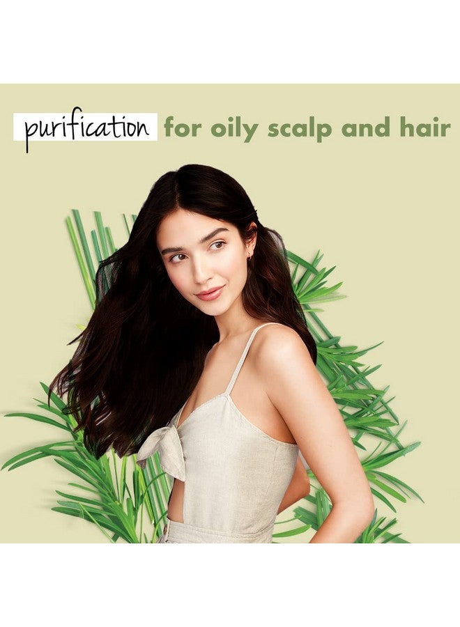 Tea Tree, Peppermint & Vetiver Natural Shampoo For Oily Scalp And Hair|No Sulfates,No Paraben|200Ml