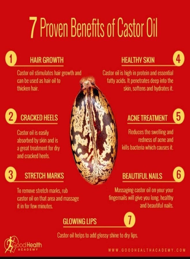 VADHIKA Pure & Natural Cold-Pressed, Castor Oil - For Skin & Face Hair Care, Eyelashes (100ml - Image 2