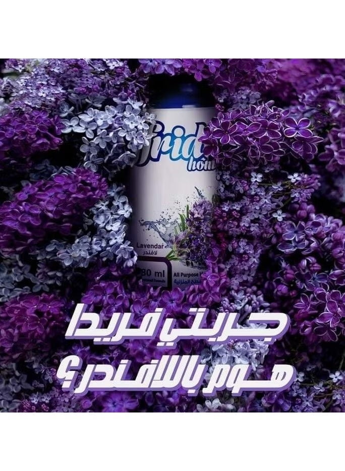 Frida Home All Purpose Home Cleaning Fragrance lavender 480 Ml - Image 2