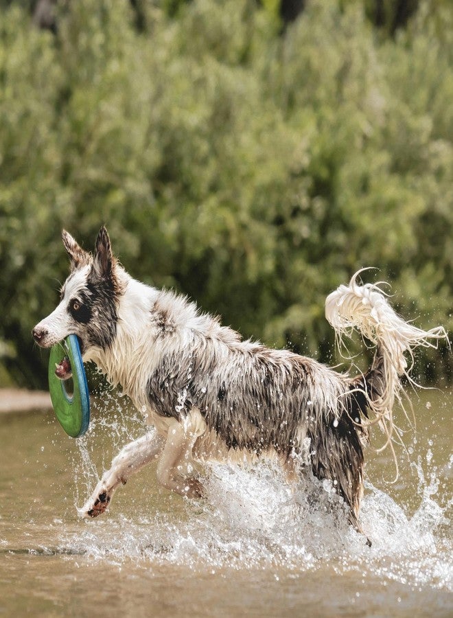 Chuckit! Amphibious ZipFlight Floating and Flying Disc Dog Toy, Medium (8.5"), Assorted Colors (Orange And Blue/Green and Blue) - Image 3