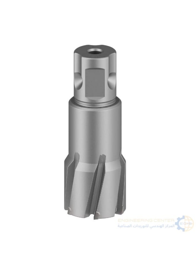 BOSCH Magnetic bit 3.5 cm x 28 mm Bosch 