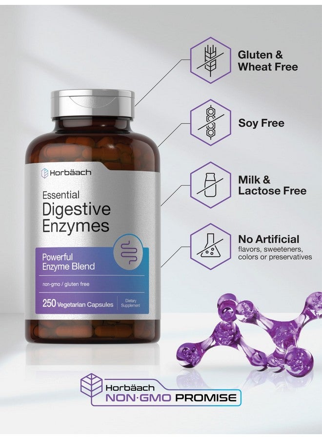 Horbäach Essential Digestive Enzymes | 250 Capsules | Powerful Enzyme Blend for Men & Women | Non-GMO & Gluten Free Supplement - Image 5