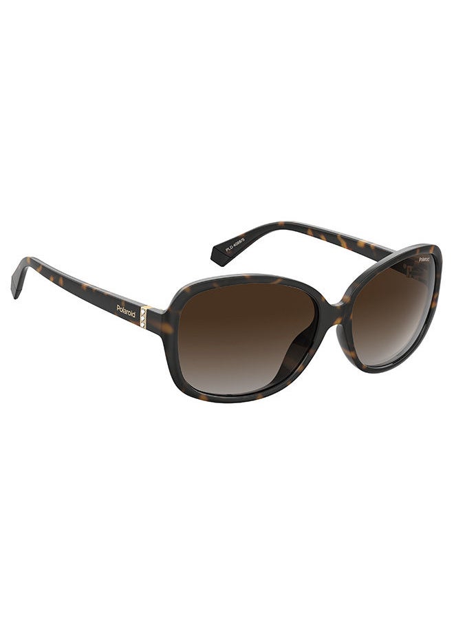 Polaroid Women's Round Sunglasses PLD 4098/S  - Image 3