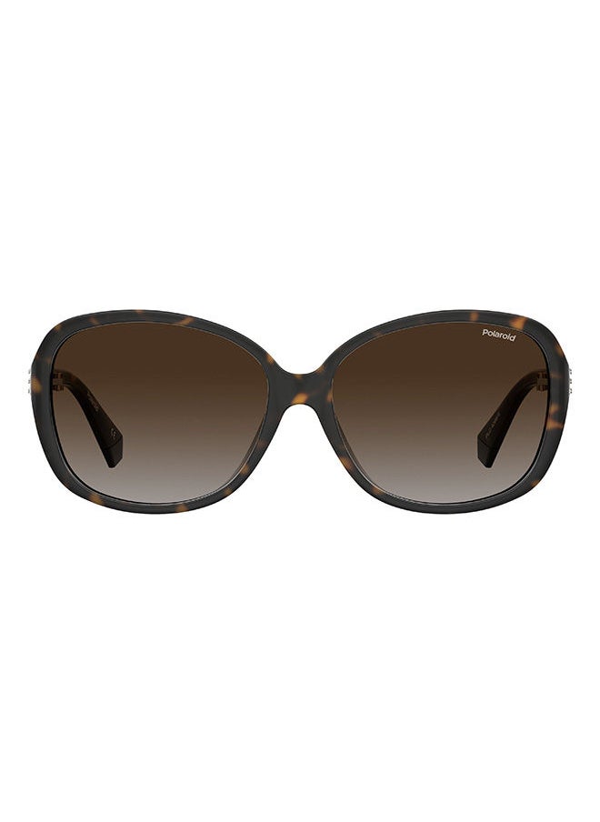 Polaroid Women's Round Sunglasses PLD 4098/S  - Image 2