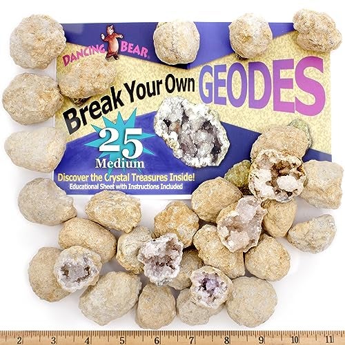 DANCING BEAR 25 Break Your Own Geodes, (Medium 1-1.5") 90% Hollow, Crack Open & Discover Amazing Surprise Crystals Inside! Educational Info and Instructions Included, Fun Party Favors & Prizes - Image 1