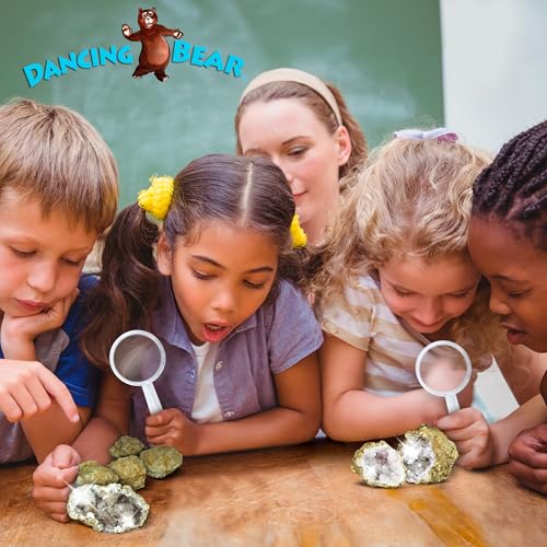 DANCING BEAR 25 Break Your Own Geodes, (Medium 1-1.5") 90% Hollow, Crack Open & Discover Amazing Surprise Crystals Inside! Educational Info and Instructions Included, Fun Party Favors & Prizes - Image 5