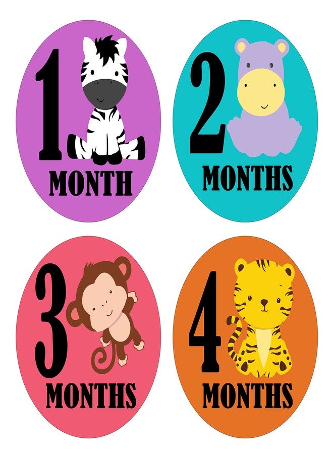 Fusion Graphix Fusion Baby Milestone Stickers - Multicolor 007 - Image 1