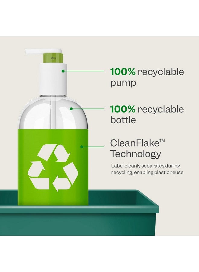 رينبيور شامبو الخيزران والكينوا، نباتي - يعيد ترميم الشعر وترطيبه وتقويته للحصول على شعر أكثر صحة - للشعر الضعيف والباهت والتالف - مستخلص الخيزران وبروتين الكينوا - 24 أونصة سائلة - Image 5