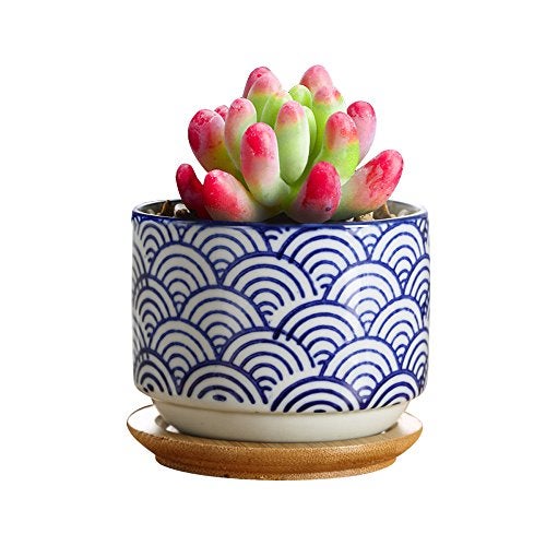 GeLive 3 Inch Ceramic Succulent Planter, Cactus Plant Pot, Flower Container with Bamboo Drip Tray, Indoor Outdoor, Set of 2 (Wave and Blue Flower) - Image 2