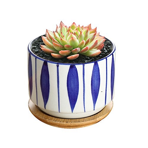 GeLive 3 Inch Ceramic Succulent Planter, Cactus Plant Pot, Flower Container with Bamboo Drip Tray, Indoor Outdoor, Set of 2 (Wave and Blue Flower) - Image 4