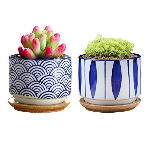 GeLive 3 Inch Ceramic Succulent Planter, Cactus Plant Pot, Flower Container with Bamboo Drip Tray, Indoor Outdoor, Set of 2 (Wave and Blue Flower) - Image 1
