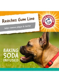 Arm & Hammer for Pets Super Treadz Gorilla Dental Chew Toy for Dogs - Dog Dental Toys Reduce Plaque & Tartar Buildup Without Brushing - Safe for Dogs up to 35 Lbs  - Image 5