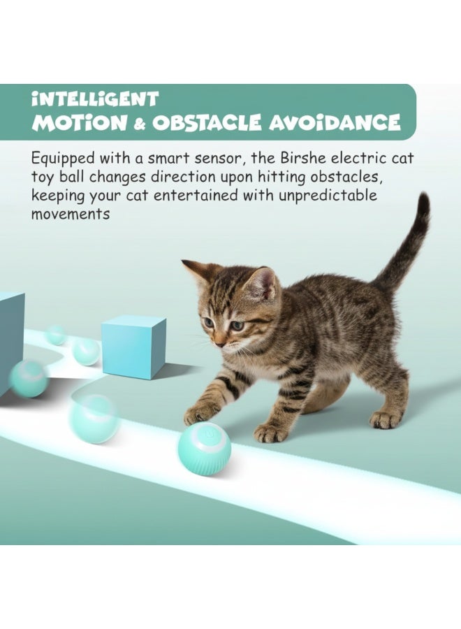 FUNFY Interactive Smart Rolling Toy for Cats and Small Puppies, Automatic Jumping Vibrating 360° Rotating Pet Toy, Keeps Indoor Cats and Puppies Active and Engaged, Fun Gift for Pets - Image 2