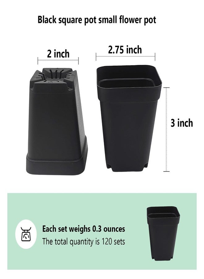 RooTrimmer Black 120-Pack 2.7" Square Plastic Nursery Pots 3" Deep Succulent Pots Small Flower Planter Seeds Starter Germination Pots with Drainage (7cm Black) - Image 2