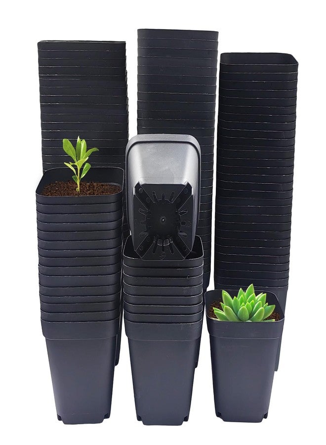 RooTrimmer Black 120-Pack 2.7" Square Plastic Nursery Pots 3" Deep Succulent Pots Small Flower Planter Seeds Starter Germination Pots with Drainage (7cm Black) - Image 1