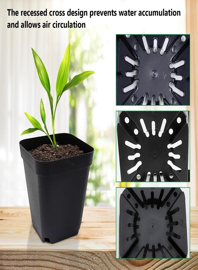 RooTrimmer Black 120-Pack 2.7" Square Plastic Nursery Pots 3" Deep Succulent Pots Small Flower Planter Seeds Starter Germination Pots with Drainage (7cm Black) - Image 4