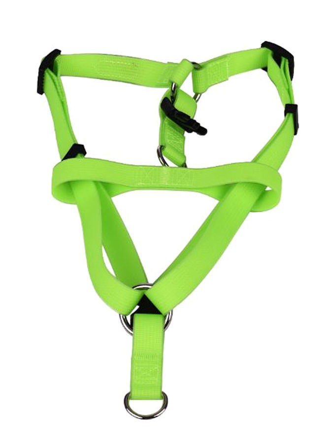 NIBEMINENT Dog Harness And Leash 2 Belt Set Green S/M/L - Image 2