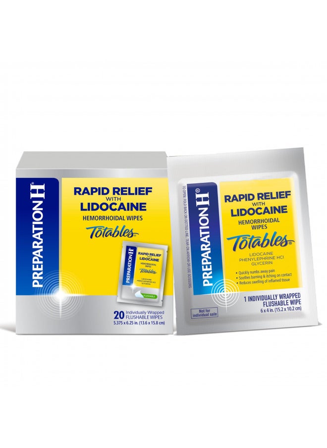 Preparation H Preparation H Rapid Relief Hemorrhoid Wipes with Lidocaine, Numbing Relief for Swelling, Pain, Burning and Itching - 20 Count  - Image 1