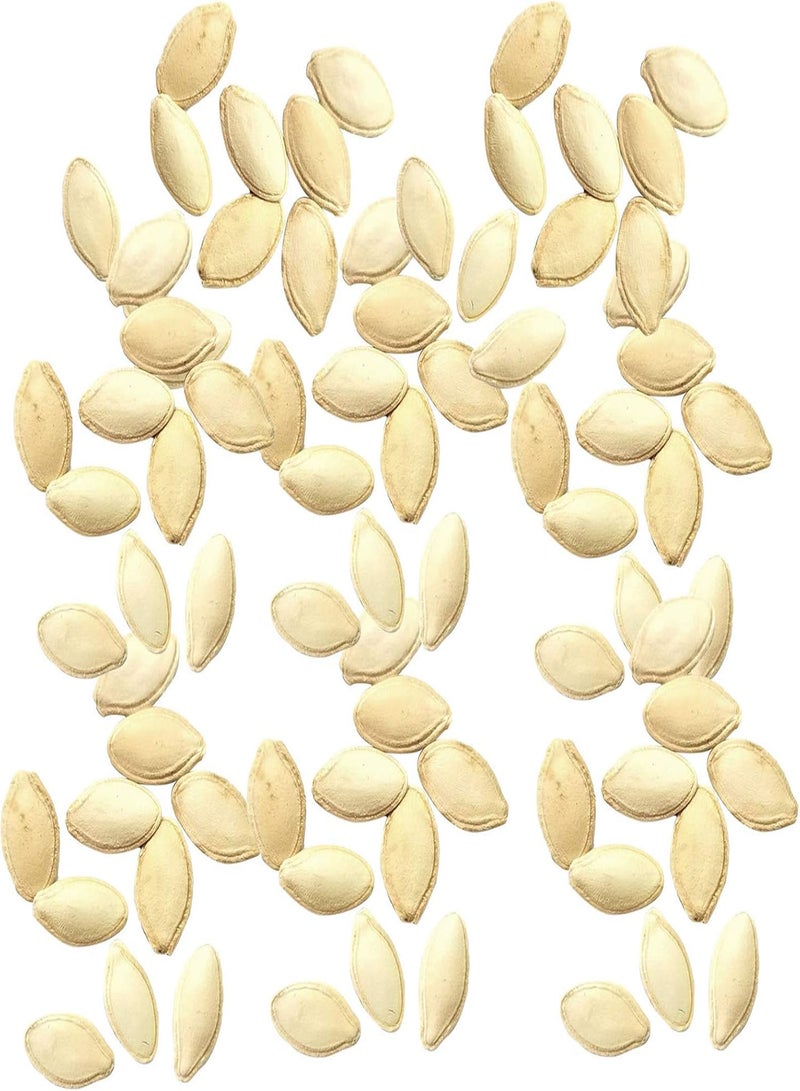 جي جوت نباتات زهور الحديقة الخضراء - كيس واحد من بذور الكوسة غير المعدلة وراثيًا، بذور خضراوات بيضاء صغيرة منتجة للحديقة - بذور الكوسة الصفراء - Image 5