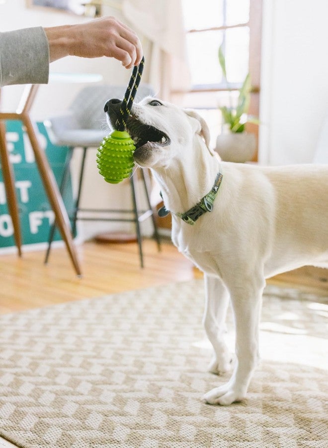 OllyDog لعبة OllyDog Spikey Rugby، لعبة مضغ تفاعلية للكلاب مصنوعة من المطاط الطبيعي، متعددة الوظائف لتنظيف الأسنان وتدليك اللثة، للكلاب التي يقل وزنها عن 50 رطلاً (ليموني) - Image 5