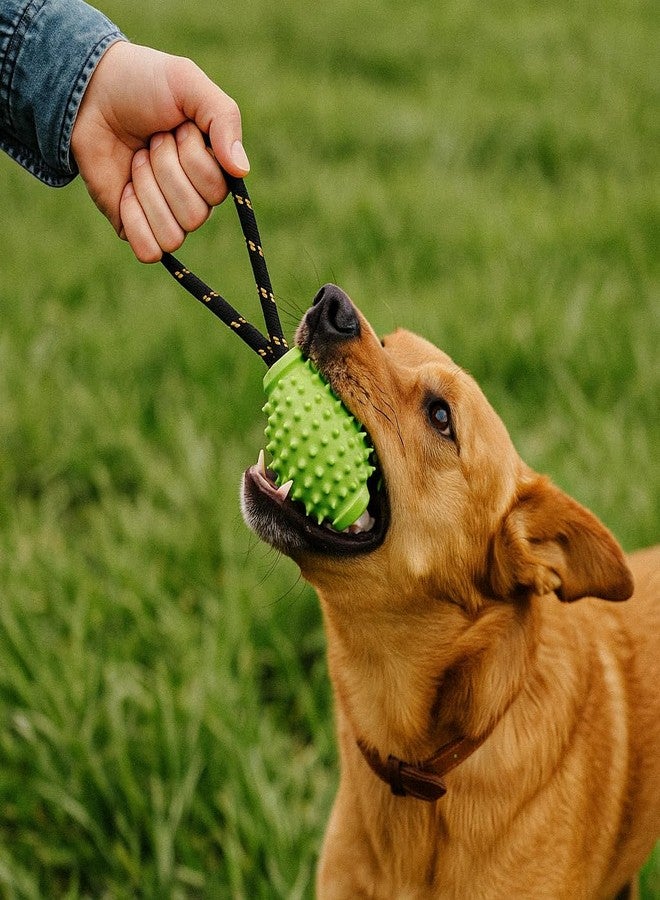OllyDog لعبة OllyDog Spikey Rugby، لعبة مضغ تفاعلية للكلاب مصنوعة من المطاط الطبيعي، متعددة الوظائف لتنظيف الأسنان وتدليك اللثة، للكلاب التي يقل وزنها عن 50 رطلاً (ليموني) - Image 3