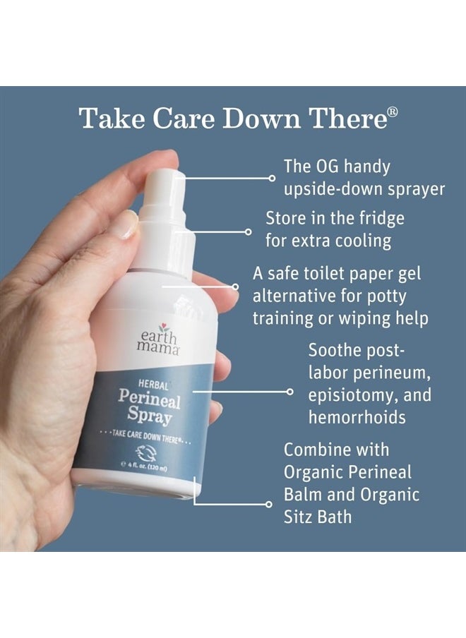 Earth Mama - Herbal Perineal Spray | Safe for Pregnancy and Postpartum Recovery, Witch Hazel Natural Cooling Spray for After Birth Feminine Care Essentials, Benzocaine & Butane Free, 4-FL OZ (2-Pack) - Image 1