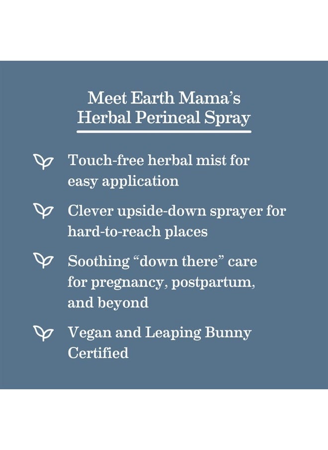 Earth Mama - Herbal Perineal Spray | Safe for Pregnancy and Postpartum Recovery, Witch Hazel Natural Cooling Spray for After Birth Feminine Care Essentials, Benzocaine & Butane Free, 4-FL OZ (2-Pack) - Image 1