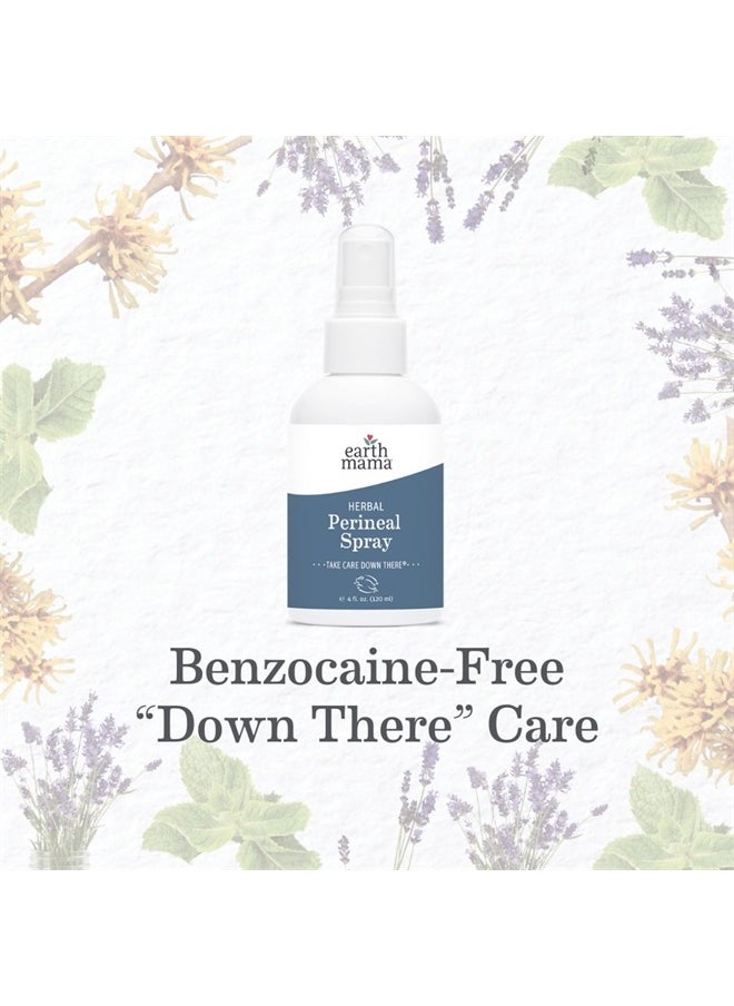 Earth Mama - Herbal Perineal Spray | Safe for Pregnancy and Postpartum Recovery, Witch Hazel Natural Cooling Spray for After Birth Feminine Care Essentials, Benzocaine & Butane Free, 4-FL OZ (2-Pack) - Image 1