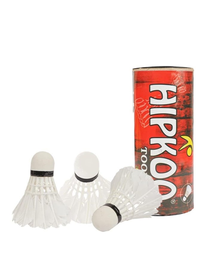 Badminton Racket Set, Lightweight Professional Badminton Racket Set for Adult and Children, Including 2 Rackets, 3 Shuttlecocks and Carry Bag