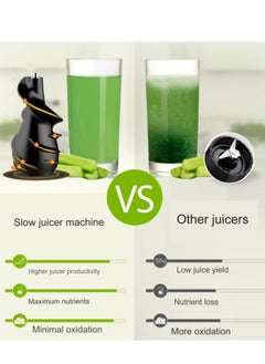 GearZone Slow Masticating Juicer, Cold Press Juicer Machines-Red Color  - Image 5